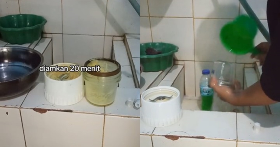 Bukan direndam larutan baking soda, ini cara hilangkan noda kunyit di blender pakai 2 bahan sederhana