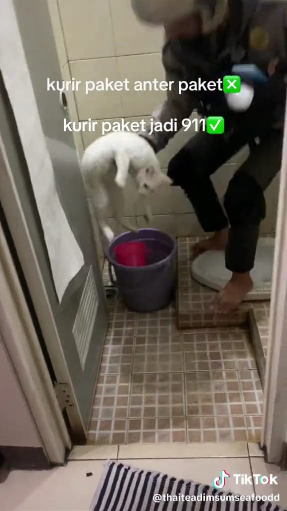 Kurir kerja tambahan © TikTok