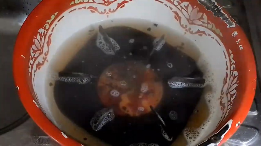 Tak perlu direndam larutan cuka, ini cara hilangkan kerak tebal di tungku kompor pakai 3 bahan dapur