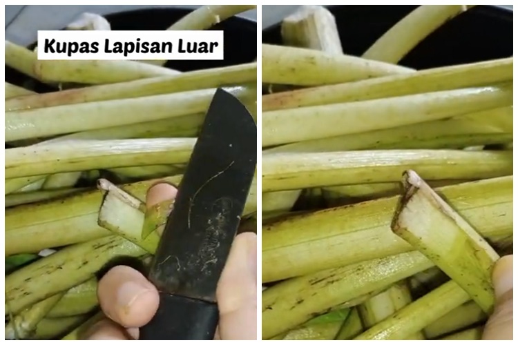 Tanpa direbus larutan asam jawa, ini cara hilangkan getah lompong agar tak bikin gatal saat dikonsumsi