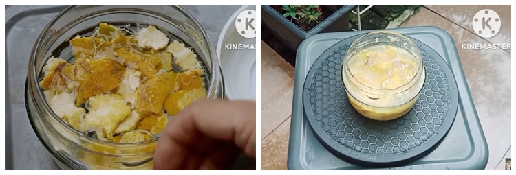 Bukan pakai bumbu dapur, ini trik cegah hama di pohon jeruk purut agar daunnya tetap subur dan hijau