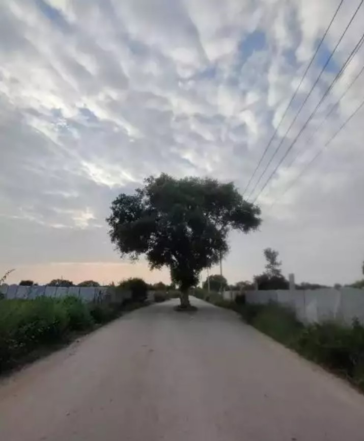 Menghalangi jalan bikin naik pitam Berbagai sumber