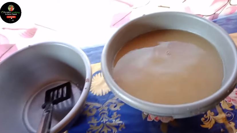 Tak cuma micin, ini trik merawat pohon kelengkeng agar cepat berbuah cuma tambah 2 bahan dapur