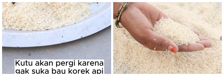 Bukan pakai rempah atau bumbu dapur, begini cara cepat enyahkan kutu beras dengan 1 alat sederhana