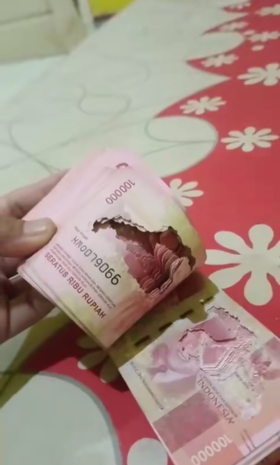 uang rusak bawa ke bank © TikTok uang rusak bawa ke bank © TikTok