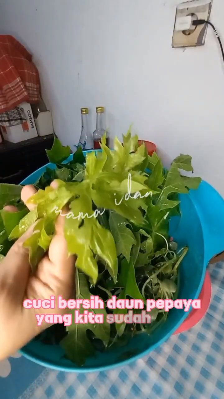 Tanpa direbus tanah liat, ini trik ampuh hilangkan rasa pahit daun pepaya pakai 1 ampas dapur