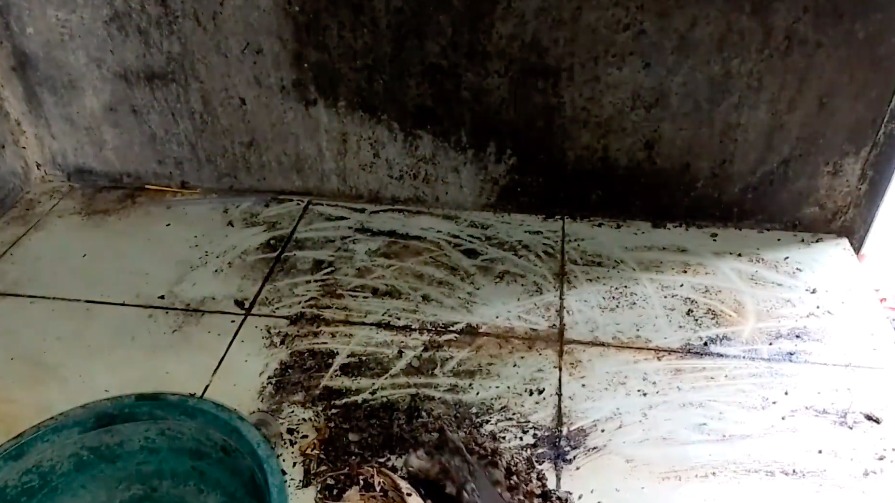 Modal Rp2.000, begini cara mudah bersihkan kerak di lantai cuma pakai 2 bahan dapur