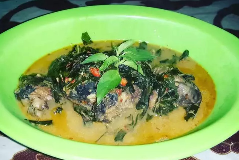 21 Resep olahan daun singkong santan, gurih, enak, dan sederhana