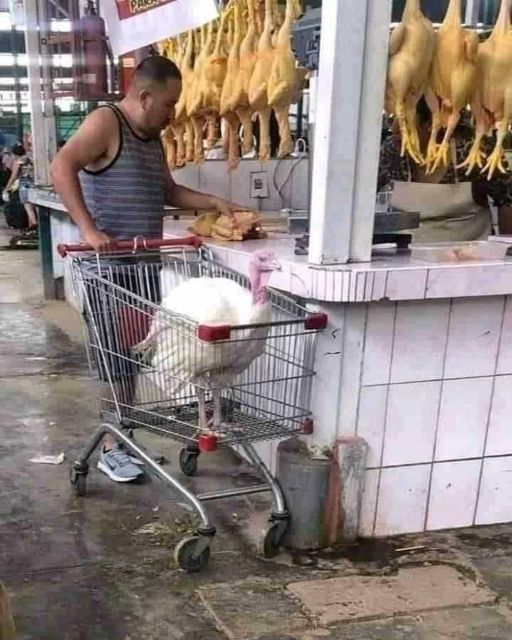 bapak-bapak ngeselin berbagai sumber