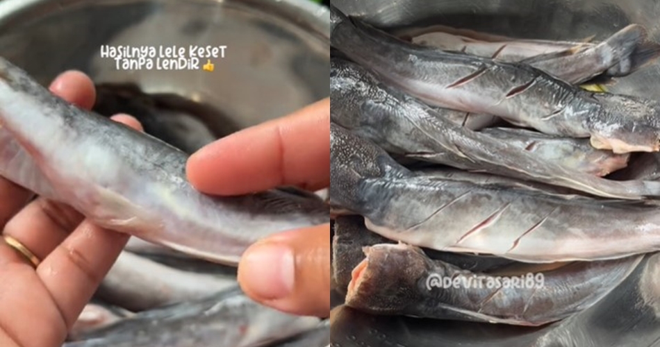 Bukan diolesi garam, ini trik menghilangkan lendir ikan lele agar kesat cuma pakai 1 bahan dapur