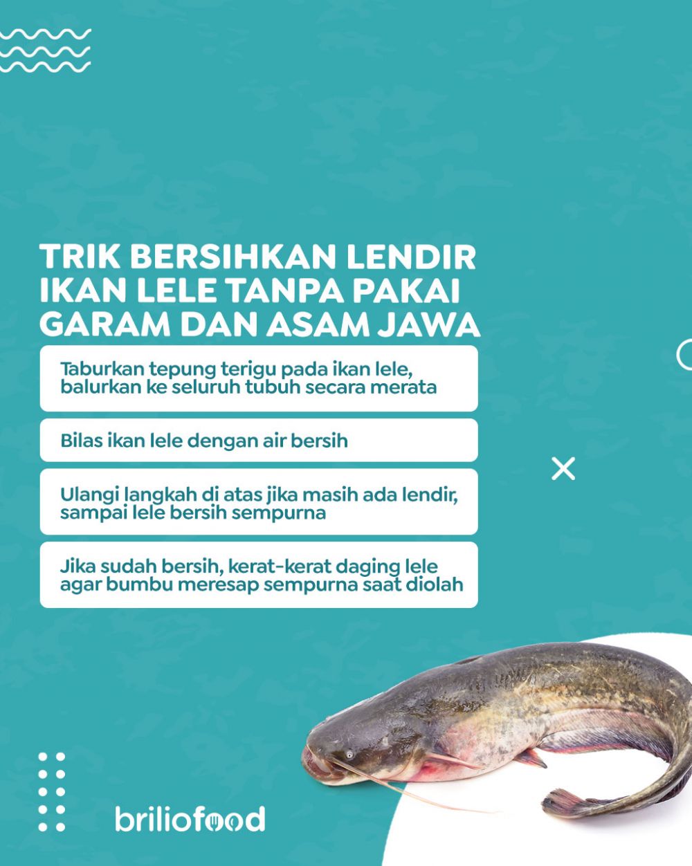 Bukan diolesi garam, ini trik menghilangkan lendir ikan lele agar kesat cuma pakai 1 bahan dapur