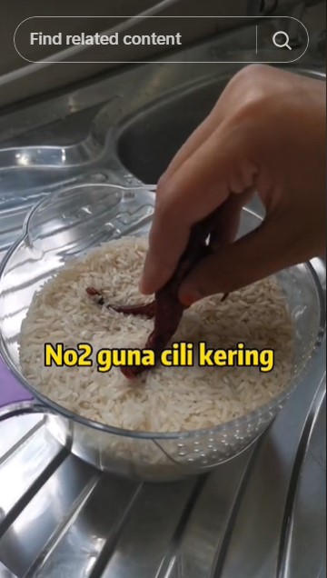 Bukan diberi daun salam atau jeruk, ini cara mengusir kutu beras cukup pakai 1 bahan dapur