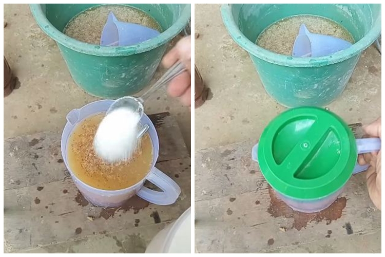 Bermodal 3 limbah dapur, ini trik cepat melebatkan bunga dan buah pada pohon jambu air