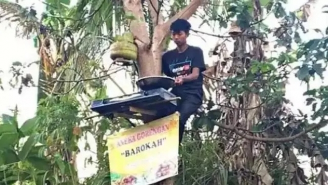 tingkah di atas pohon berbagai sumber tingkah di atas pohon berbagai sumber