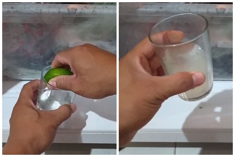 Tanpa ditaburi baking soda, ini cara ampuh hilangkan bau tak sedap di dalam kulkas pakai 2 bahan dapur