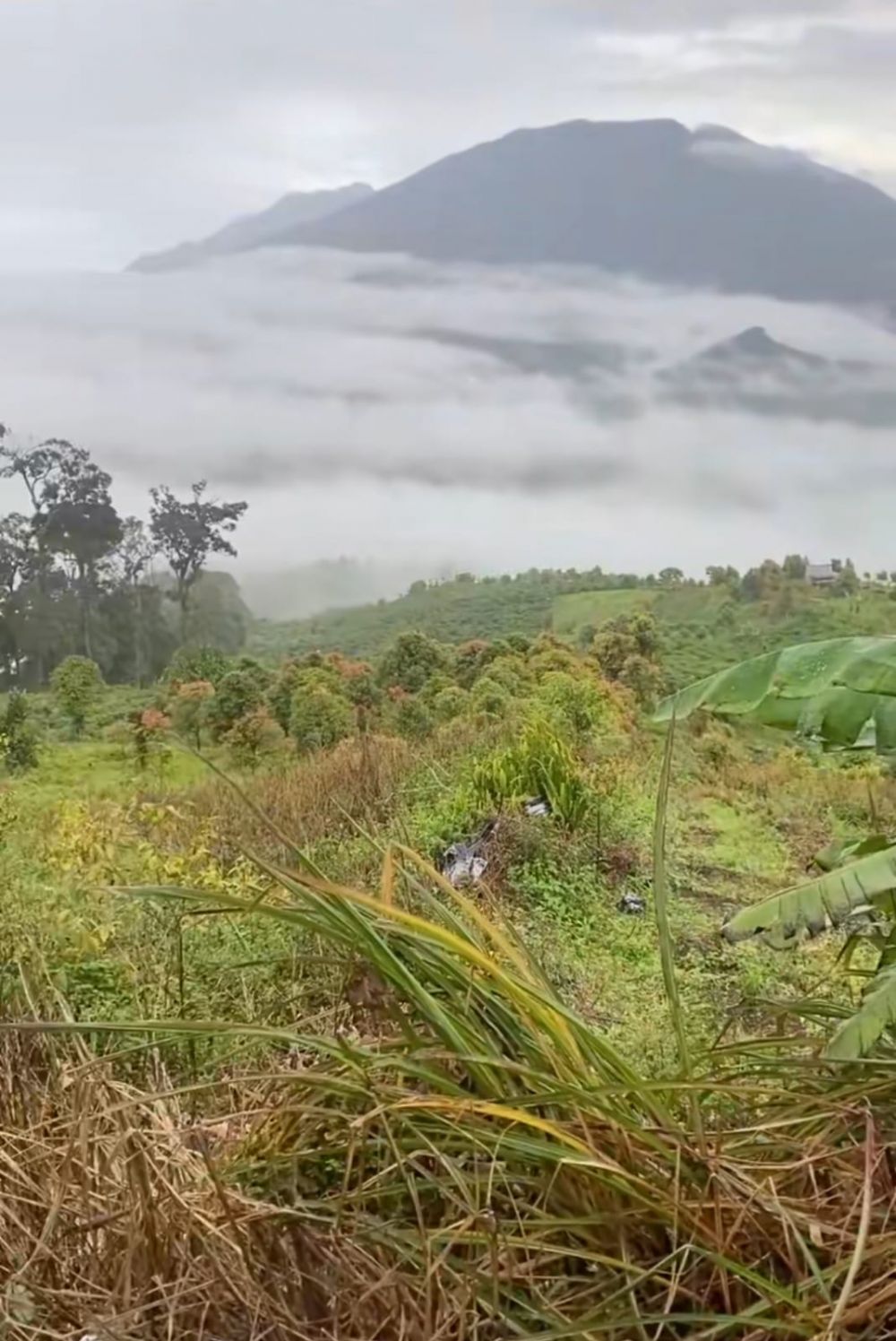 toilet pemandangan © TikTok toilet pemandangan © TikTok