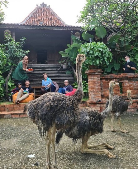 teras rumah Irfan Hakim © berbagai sumber