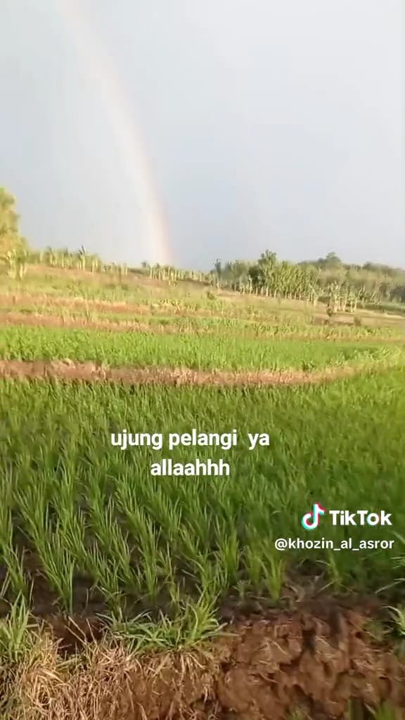 Momen pria kejar ujung pelangi © TikTok