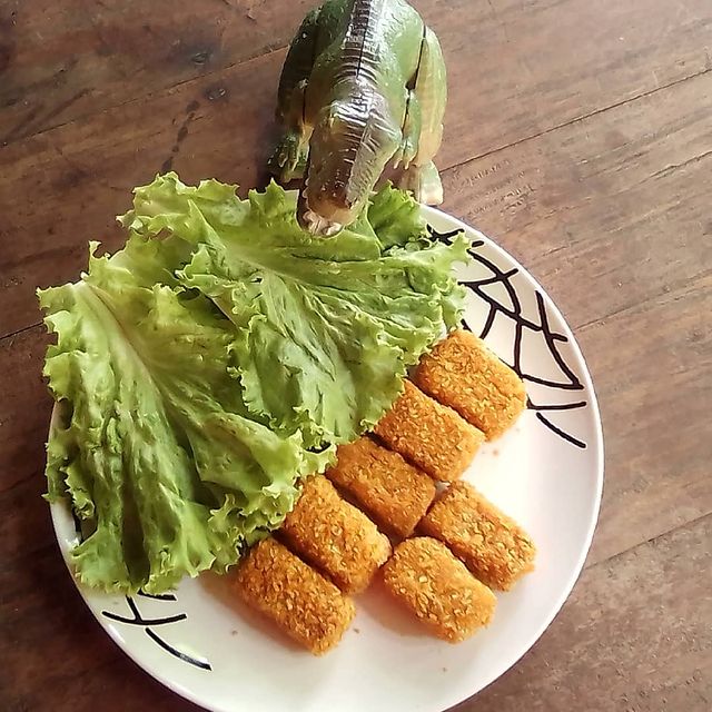 13 Resep nugget tahu ala rumahan, lezat, bikin nagih, dan gampang dibuat