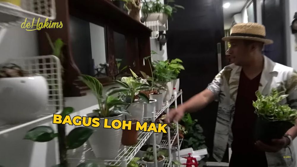 teras rumah soimah tanaman hias ratusan juta © 2024 brilio.net