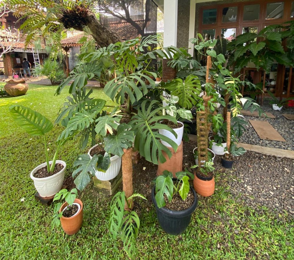 teras rumah anjasmara © Instagram