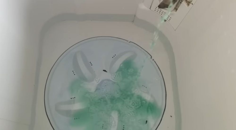 Tanpa perlu dibongkar dan disikat, ini cara membersihkan lumut di mesin cuci cuma pakai 1 bahan dapur