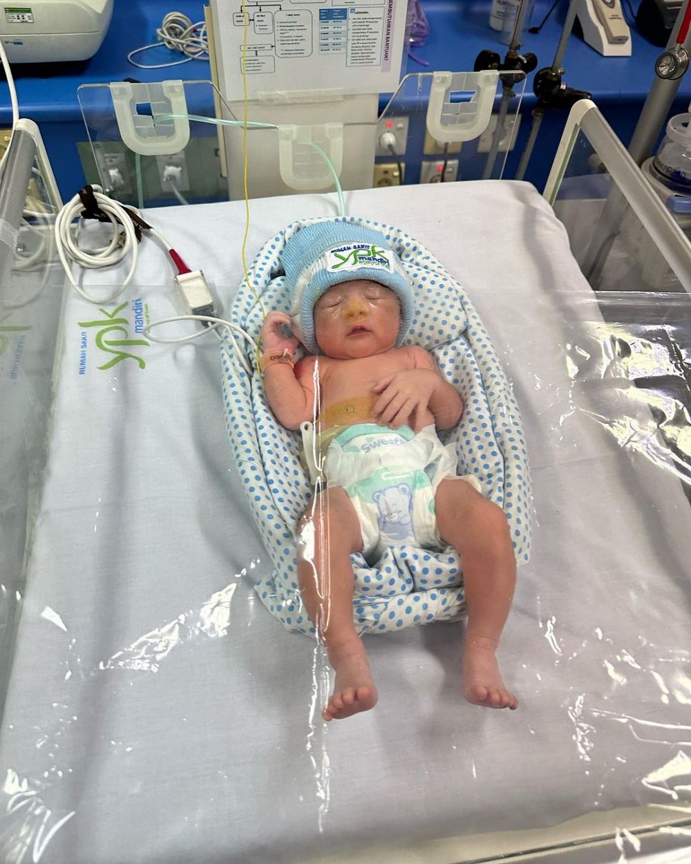 kelahiran anak kedua marshel widianto dan cesen © 2024 brilio.net kelahiran anak kedua marshel widianto dan cesen © 2024 brilio.net