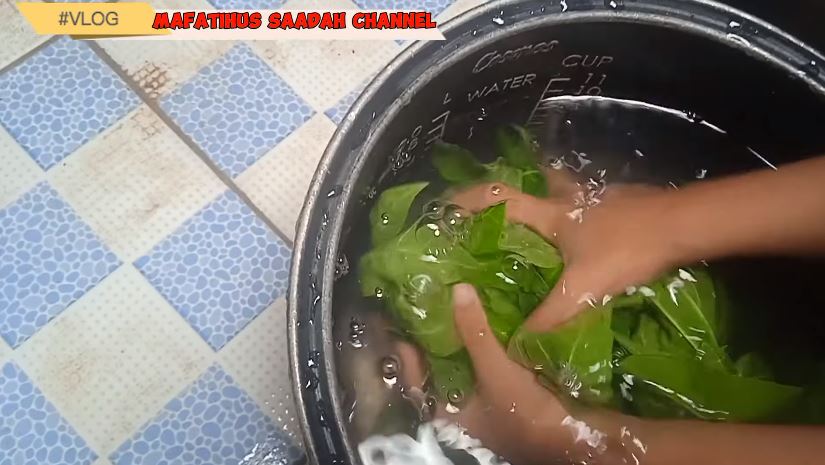 Tanpa tambahan asam jawa, ini trik merebus daun pepaya agar warnanya tetap hijau dan tidak pahit