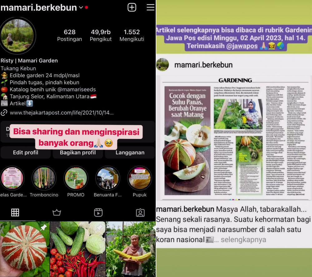 berkebun di balkon apartemen © Instagram