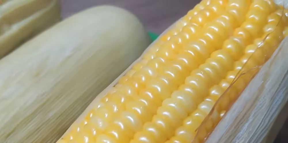 Cukup 10 menit, ini cara merebus jagung agar hasilnya empuk dan tidak keriput