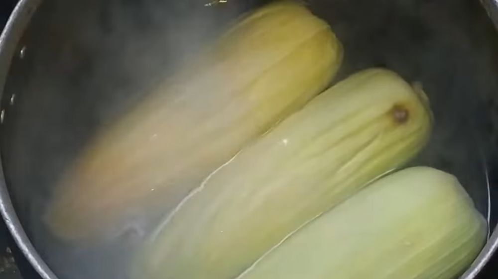 Cukup 10 menit, ini cara merebus jagung agar hasilnya empuk dan tidak keriput