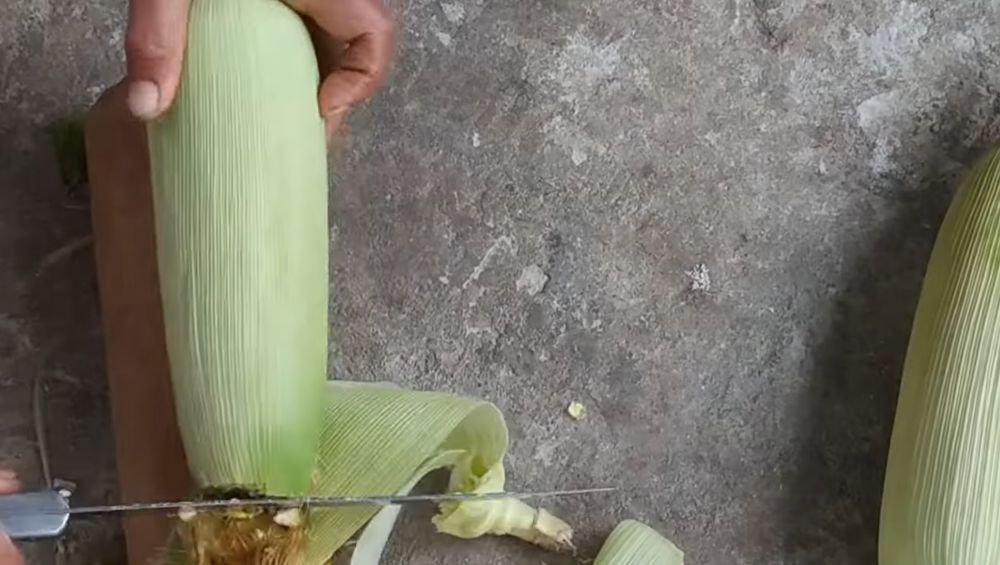 Cukup 10 menit, ini cara merebus jagung agar hasilnya empuk dan tidak keriput