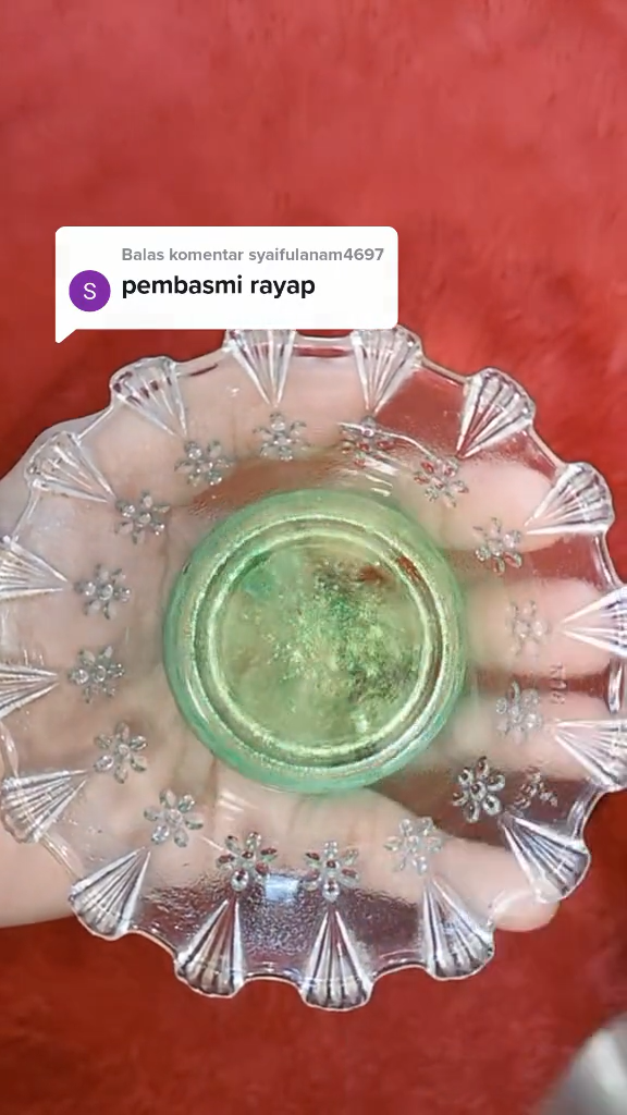 Trik ampuh mengusir rayap di pintu maupun perabot kayu, super praktis cuma pakai 2 bahan dapur