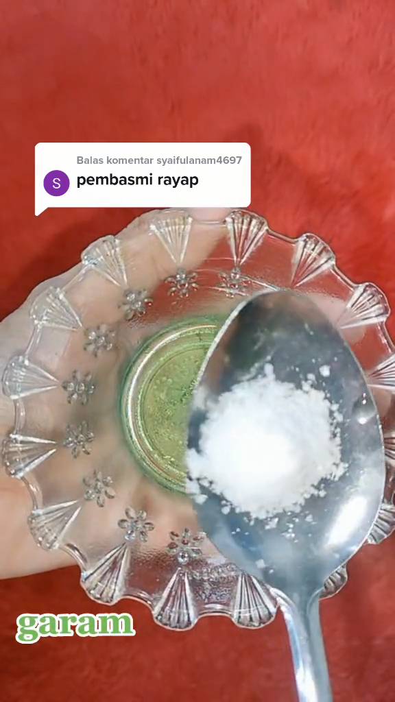 Trik ampuh mengusir rayap di pintu maupun perabot kayu, super praktis cuma pakai 2 bahan dapur