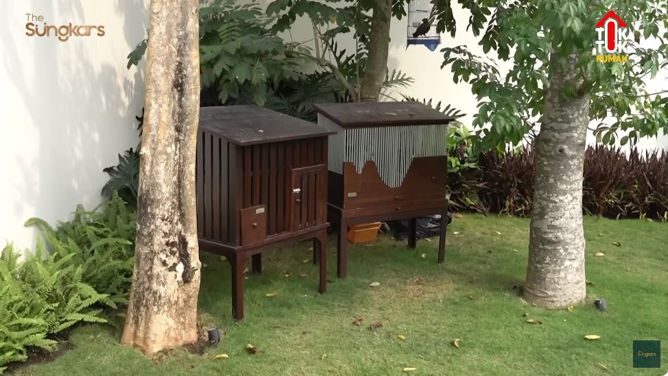 potret halaman belakang citra kirana © YouTube