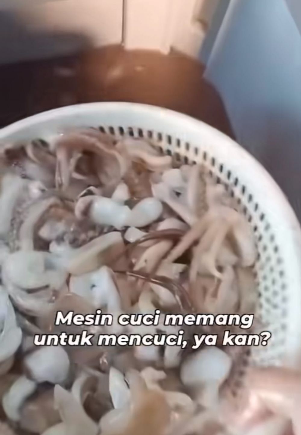 cuci cumi di mesin cuci © TikTok cuci cumi di mesin cuci © TikTok