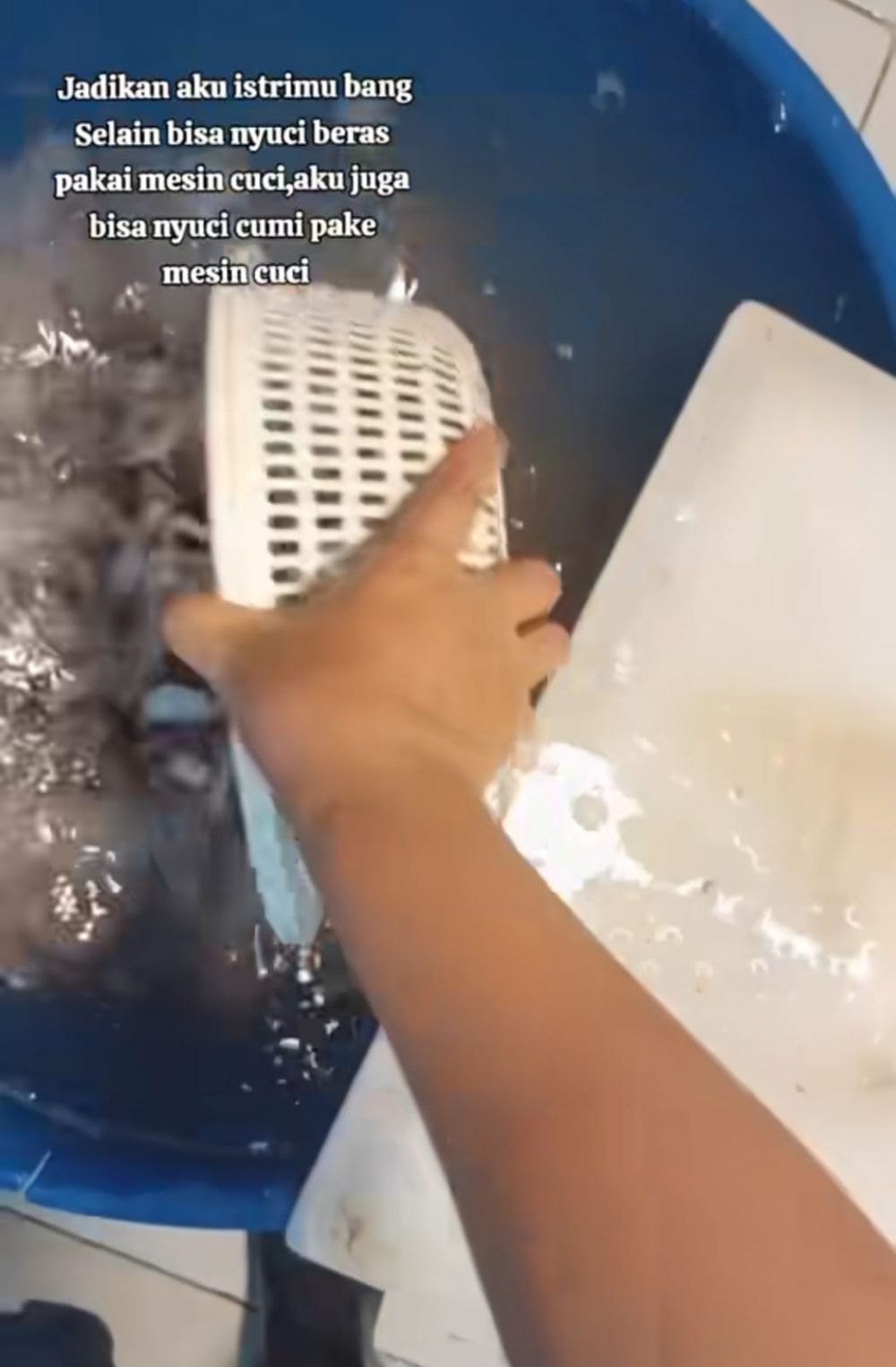 cuci cumi di mesin cuci © TikTok cuci cumi di mesin cuci © TikTok