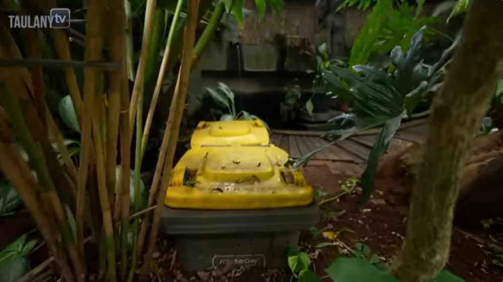 potret teras Dwi Sasono © YouTube