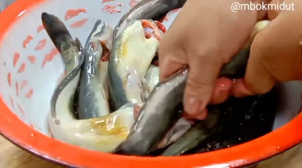 Tanpa baking soda, ini trik bikin adonan pelapis ikan lele agar bentuknya keriting dalam sekali celup