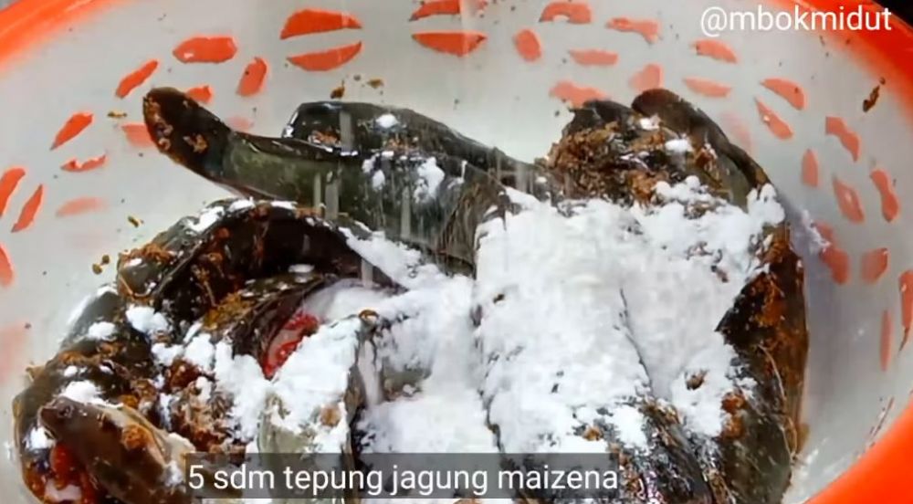 Tanpa baking soda, ini trik bikin adonan pelapis ikan lele agar bentuknya keriting dalam sekali celup
