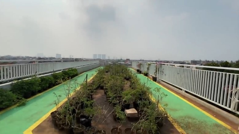 rooftop Yusuf Mansur kebun sayur © YouTube
