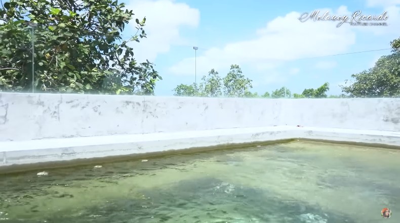 potret rooftop Indah Kalalo © YouTube potret rooftop Indah Kalalo © YouTube