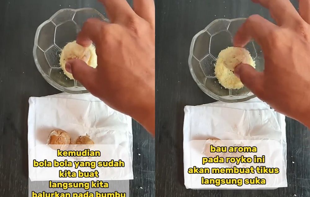 Tanpa perangkap, ini cara sederhana mengusir tikus cuma pakai 2 bahan dapur