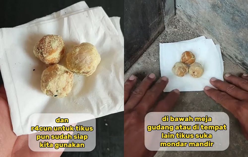 Tanpa perangkap, ini cara sederhana mengusir tikus cuma pakai 2 bahan dapur