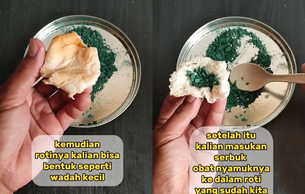 Tanpa perangkap, ini cara sederhana mengusir tikus cuma pakai 2 bahan dapur