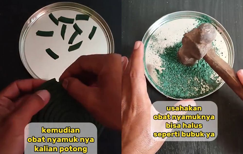 Tanpa perangkap, ini cara sederhana mengusir tikus cuma pakai 2 bahan dapur