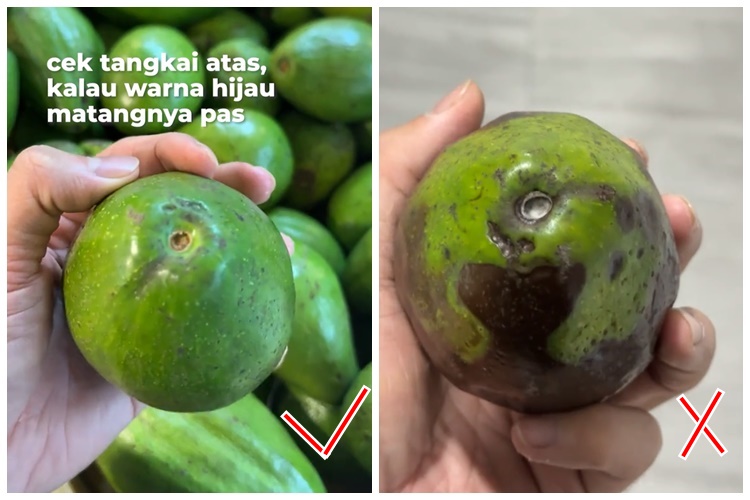 Tanpa perlu dikupas, ini cara simpel memilih alpukat matang sempurna dan teksturnya empuk