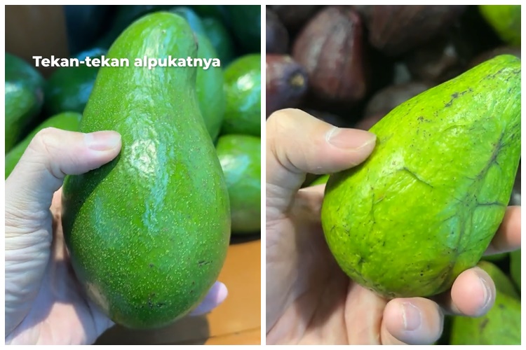 Tanpa perlu dikupas, ini cara simpel memilih alpukat matang sempurna dan teksturnya empuk