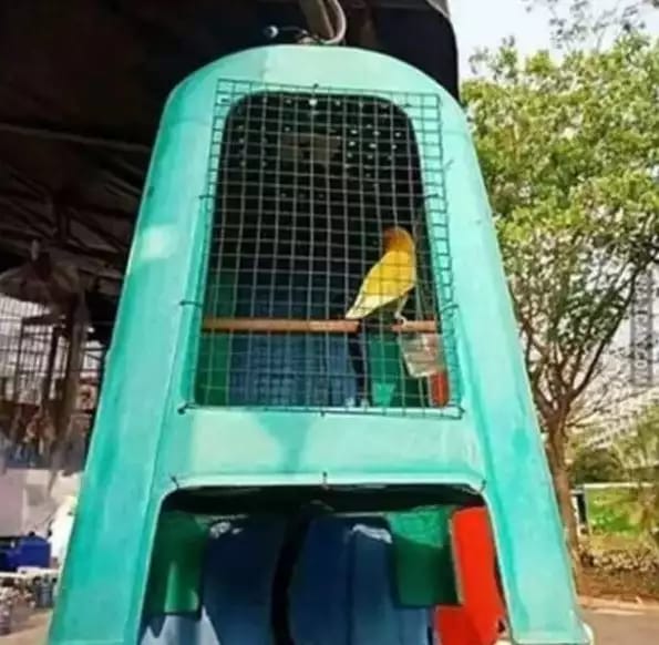 sangkar nyeleneh berbagai sumber sangkar nyeleneh berbagai sumber