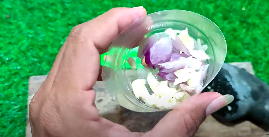 Cuma pakai 3 bahan dapur, ini cara praktis buat ramuan pengusir tikus yang alami dan ampuh